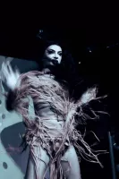 68f745cba1707__OSE0311